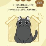 『夜は猫といっしょ』第3期が12月4日に配信開始!新キャスト情報も公開