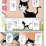 ダークバトル怪幕『タタリ』を無料で楽しむ方法!