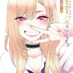 『着せ恋』最新刊14巻の発売情報と特装版の魅力