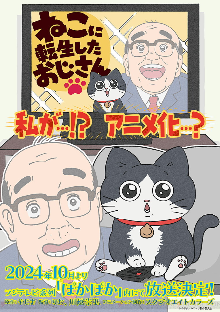 癒し系？！猫に転生したおじさんの奇妙な毎日：猫好き社長との絆