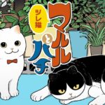 厳しい現実を生きる猫たちの姿を描いた『ツレ猫マルルとハチ』