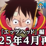 ワンピース再開!エッグヘッド編の深夜放送による魅力と盛り上がり
