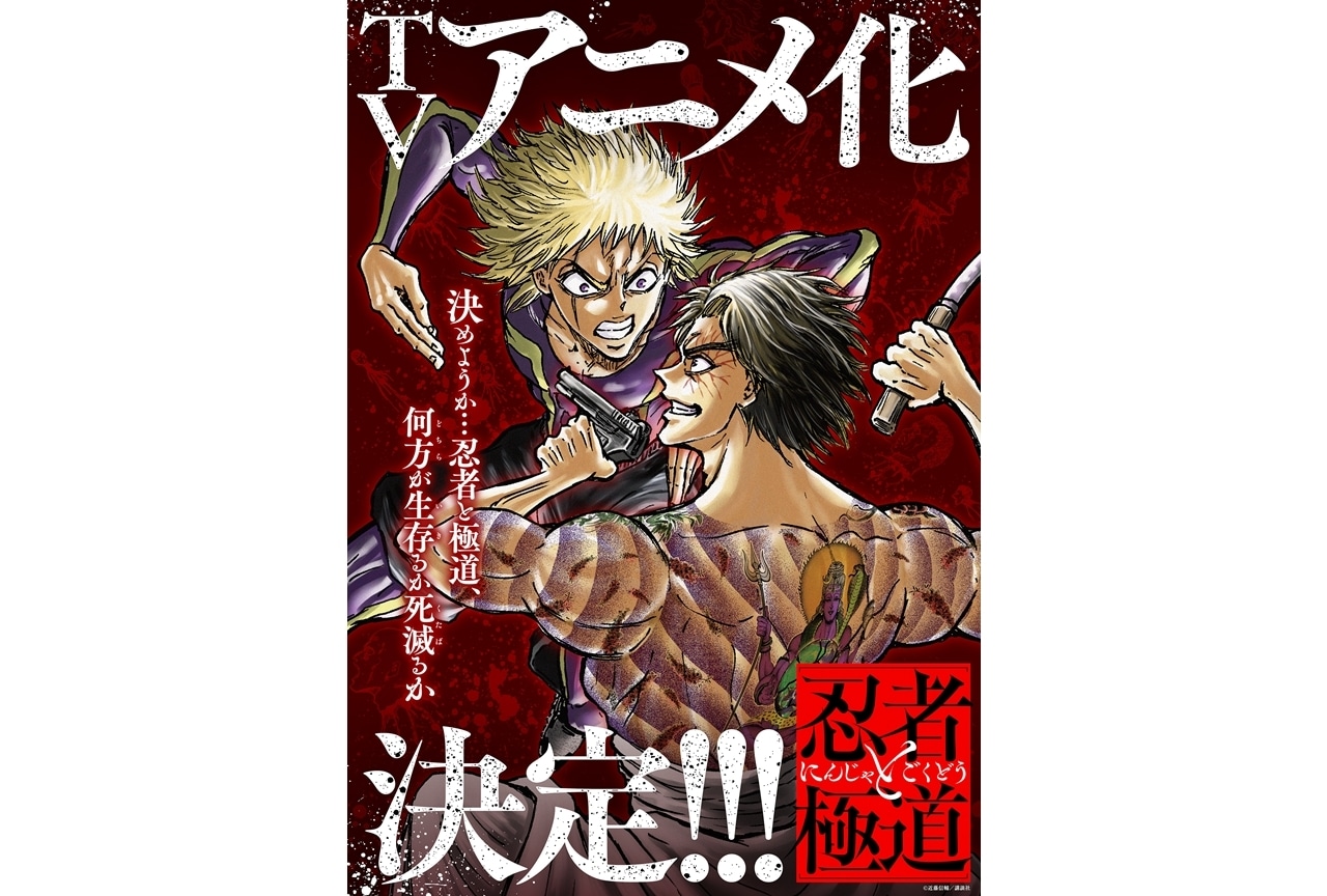 『忍者と極道』アニメ化決定！原作の魅力を徹底解剖