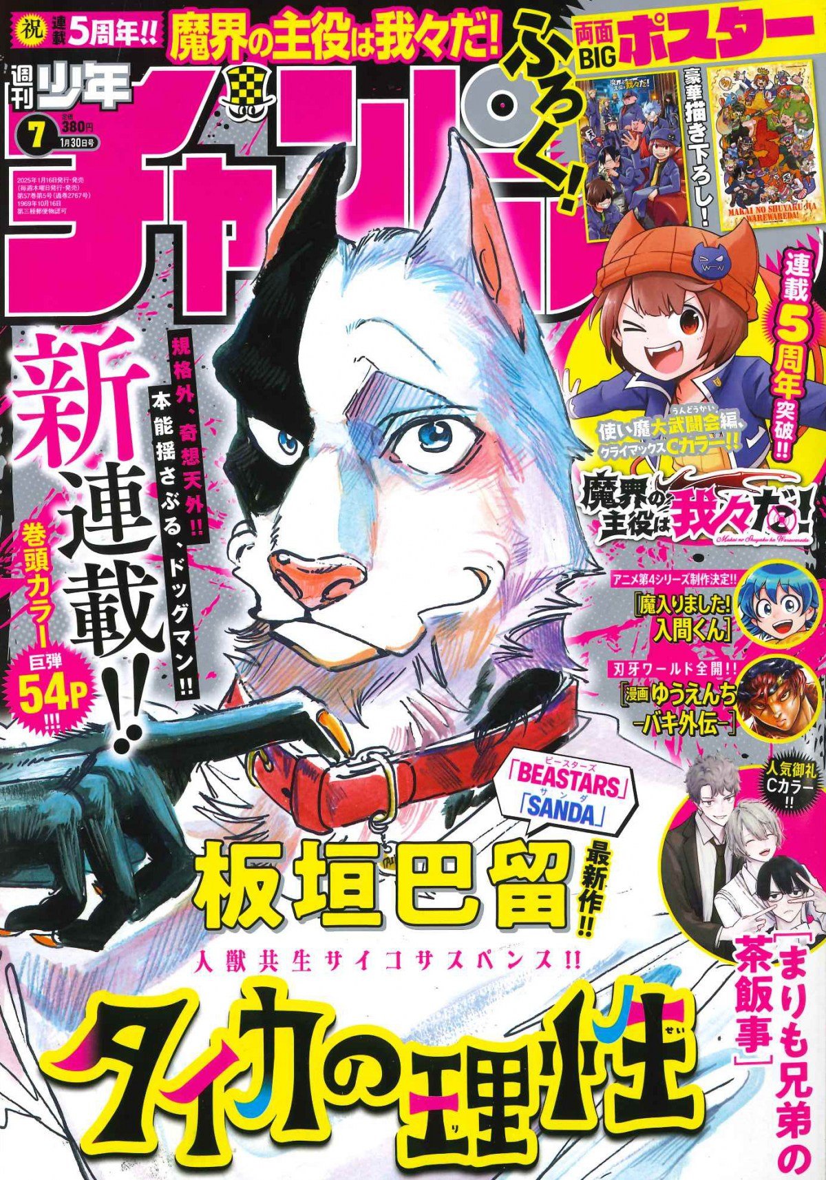 近未来日本のペット事情?!板垣巴留先生『タイカの理性』のシニカルな世界