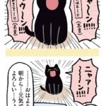 猫とのほっこり日常を描いたコミックエッセイ