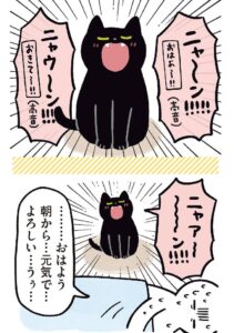 猫とのほっこり日常を描いたコミックエッセイ