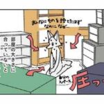 体も心も労ってますか？「午後のおいしい薬膳日記」が教える体調管理法