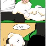 まったりワンコとのほのぼの日記『ビション絵日記』連載開始！感想とおすすめポイント