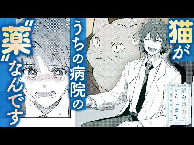 猫の日間近「猫を処方いたします。」コミカライズに注目!心癒される猫との日常にほっこり
