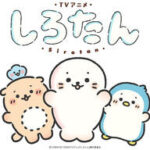 癒しのふわふわキャラ『しろたん』がTVアニメ化！！2026年秋から放送予定！キャストも続投で歓喜☆
